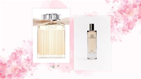 love chloe perfume dupe|zara rose gourmand perfume dupe.